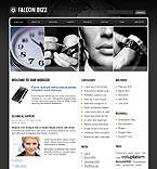 Falcon Bizz Animated WordPress Template