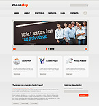 Professional Web Design Drupal Theme