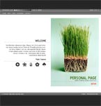 Photographer portfolio flash template