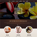 Spa Wordpress Theme