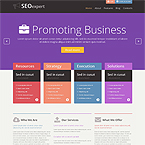 Success Advertising Wordpress Site