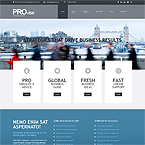 Provise Financial Advisor Wordpress Theme