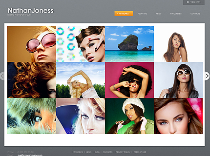 Photo Portfolio Fancy CMS Flash template