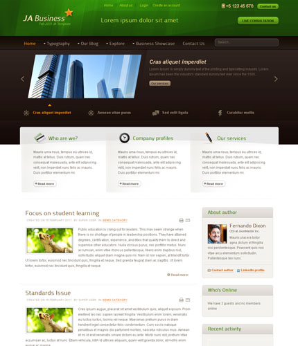 Business Joomla template