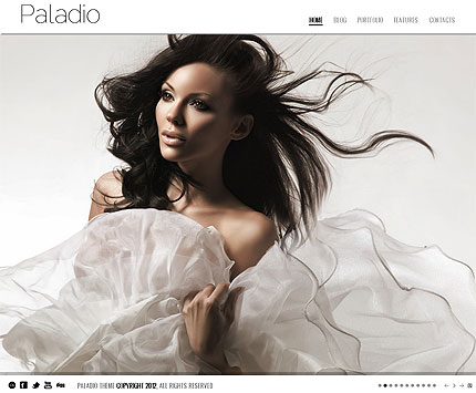 Paladio Wordpress Portfolio Theme