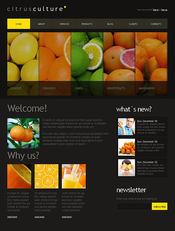 Limes Joomla Template