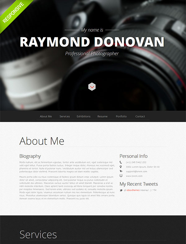 Professional Portfolio Responsive Template