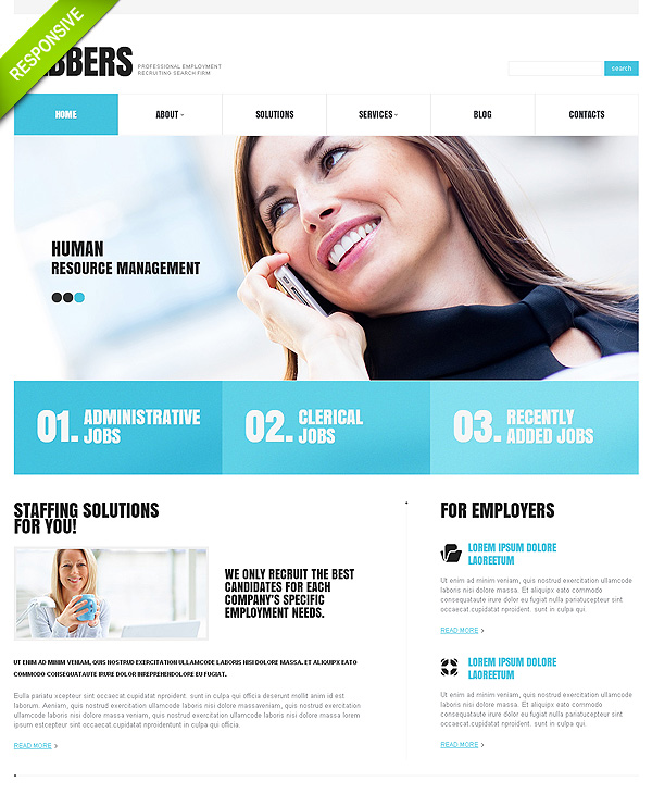 Business Success Wordpress Theme