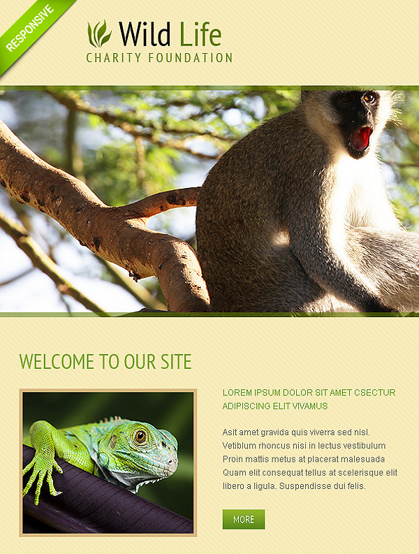 Animals Template For Joomla